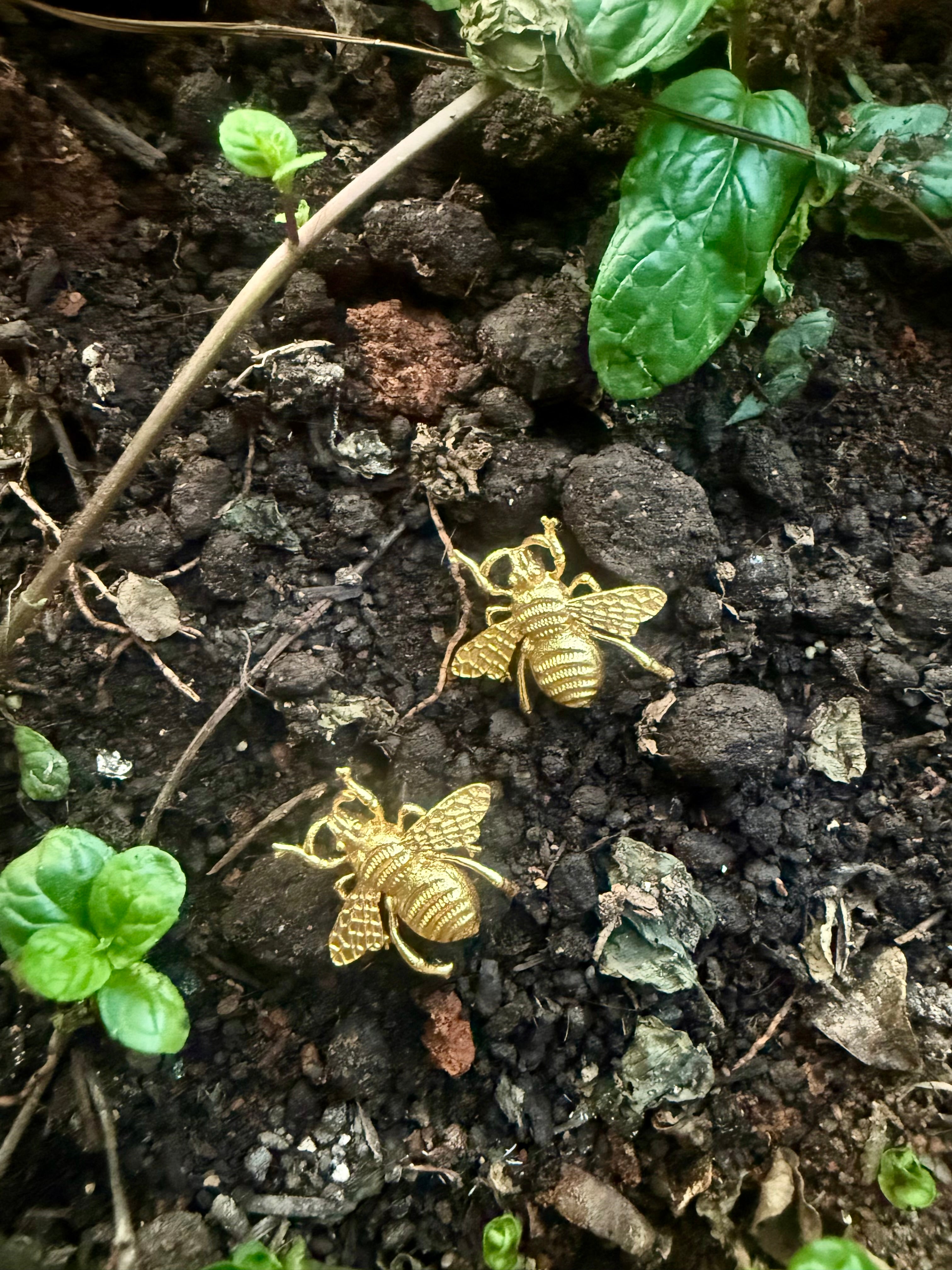 Close up showing details of two gold plated bee ear studs on a dark soil surface with green plants.