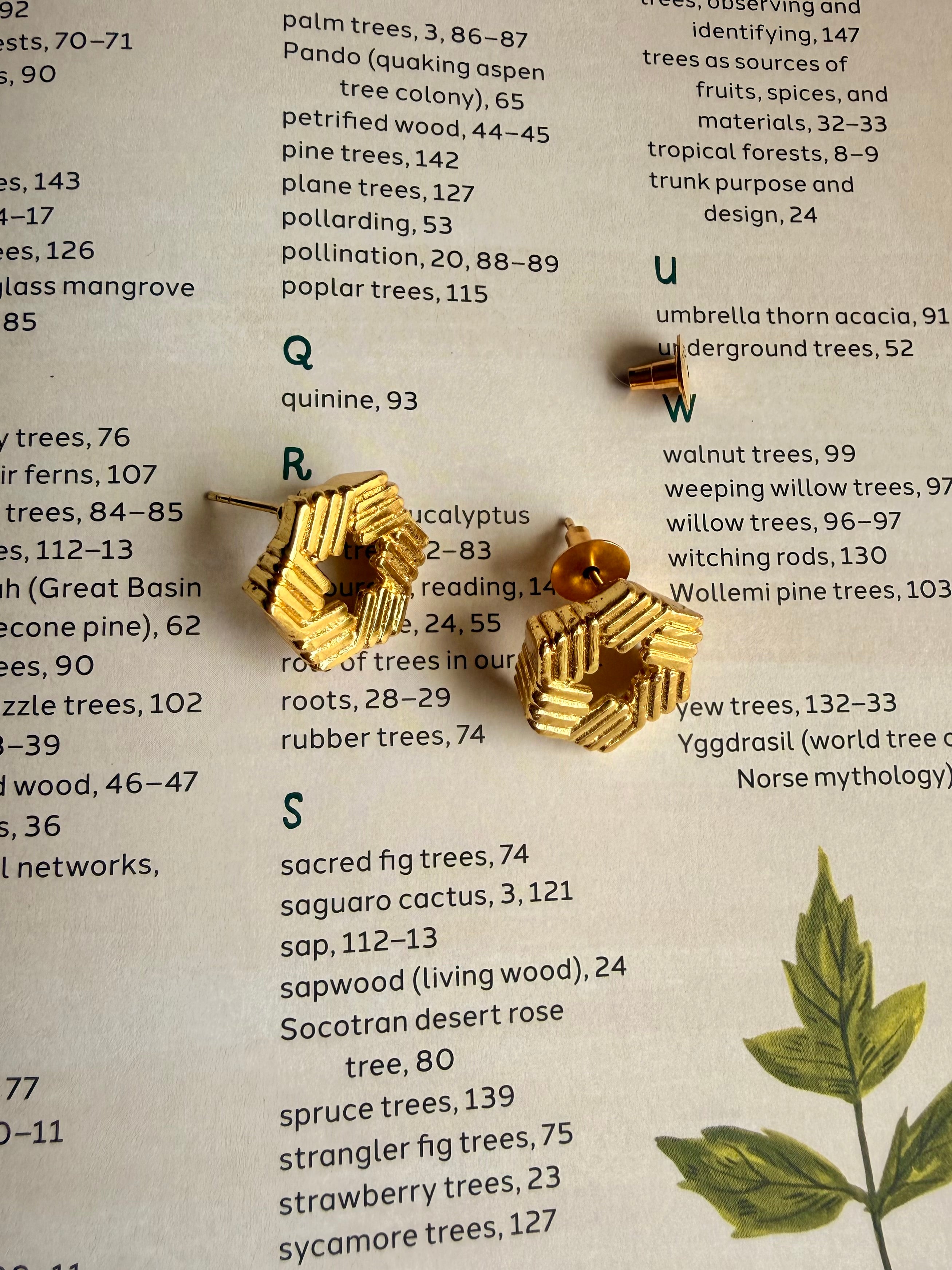 Yantra studs placed on open book index page alongside dried botanical illustration, close-up showing hexagonal structure and textured ridged edges