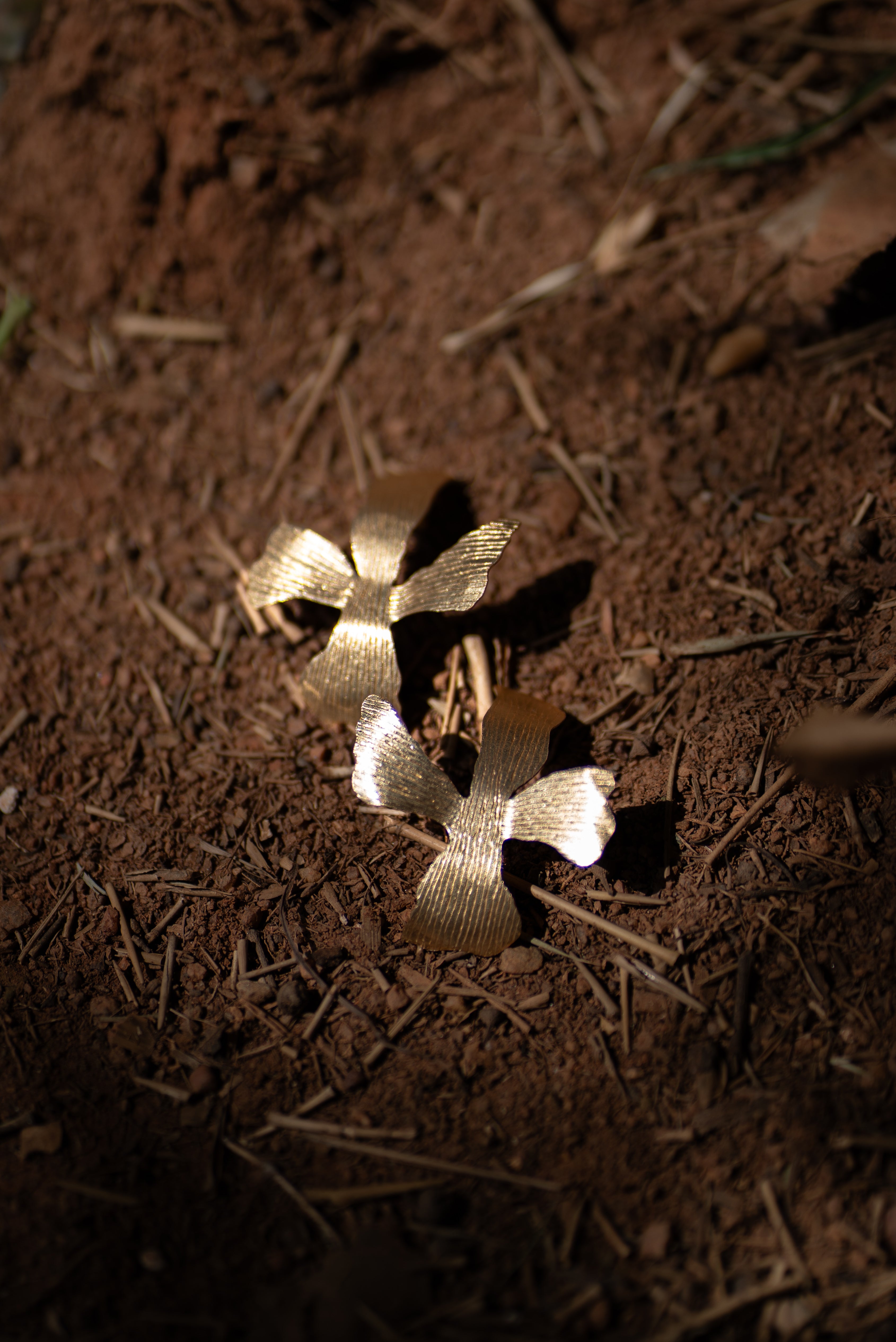 Closeup of beautiful Floral shaped, komal floret earrings kept on red soil. 