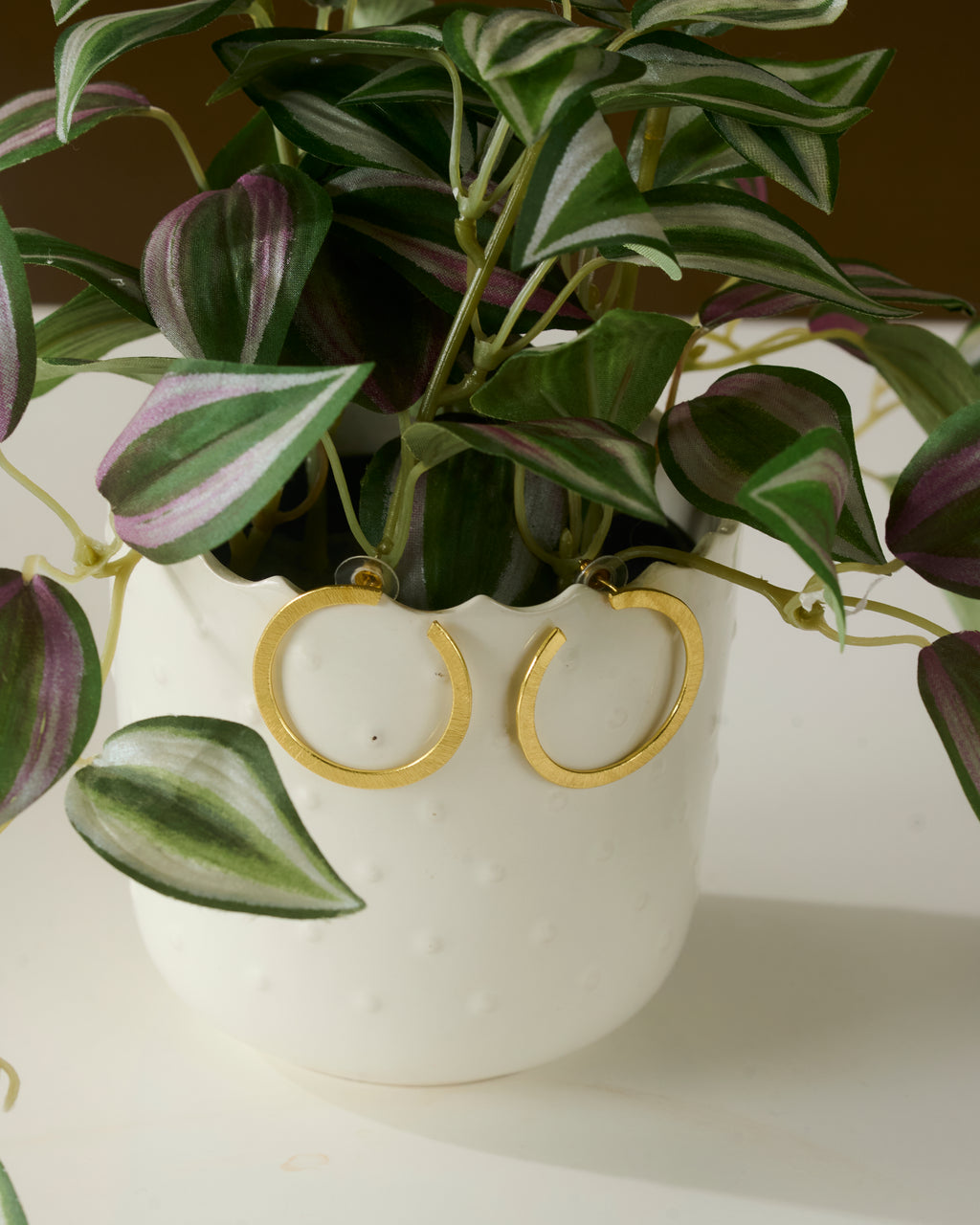 Potted plant with gold toned hoop earrings on a white background