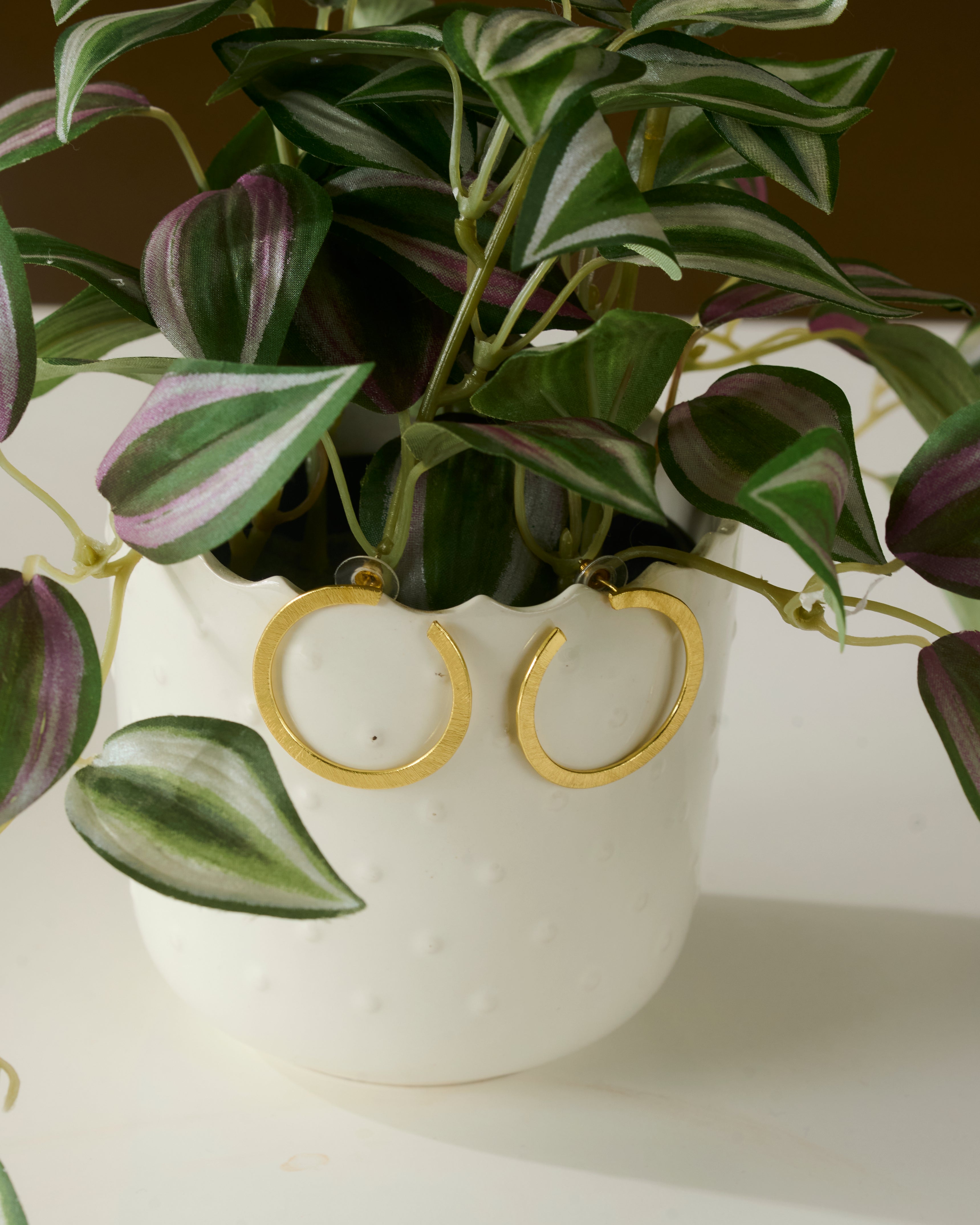 Potted plant with gold toned hoop earrings on a white background