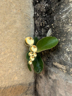 Rimjhim Brooch