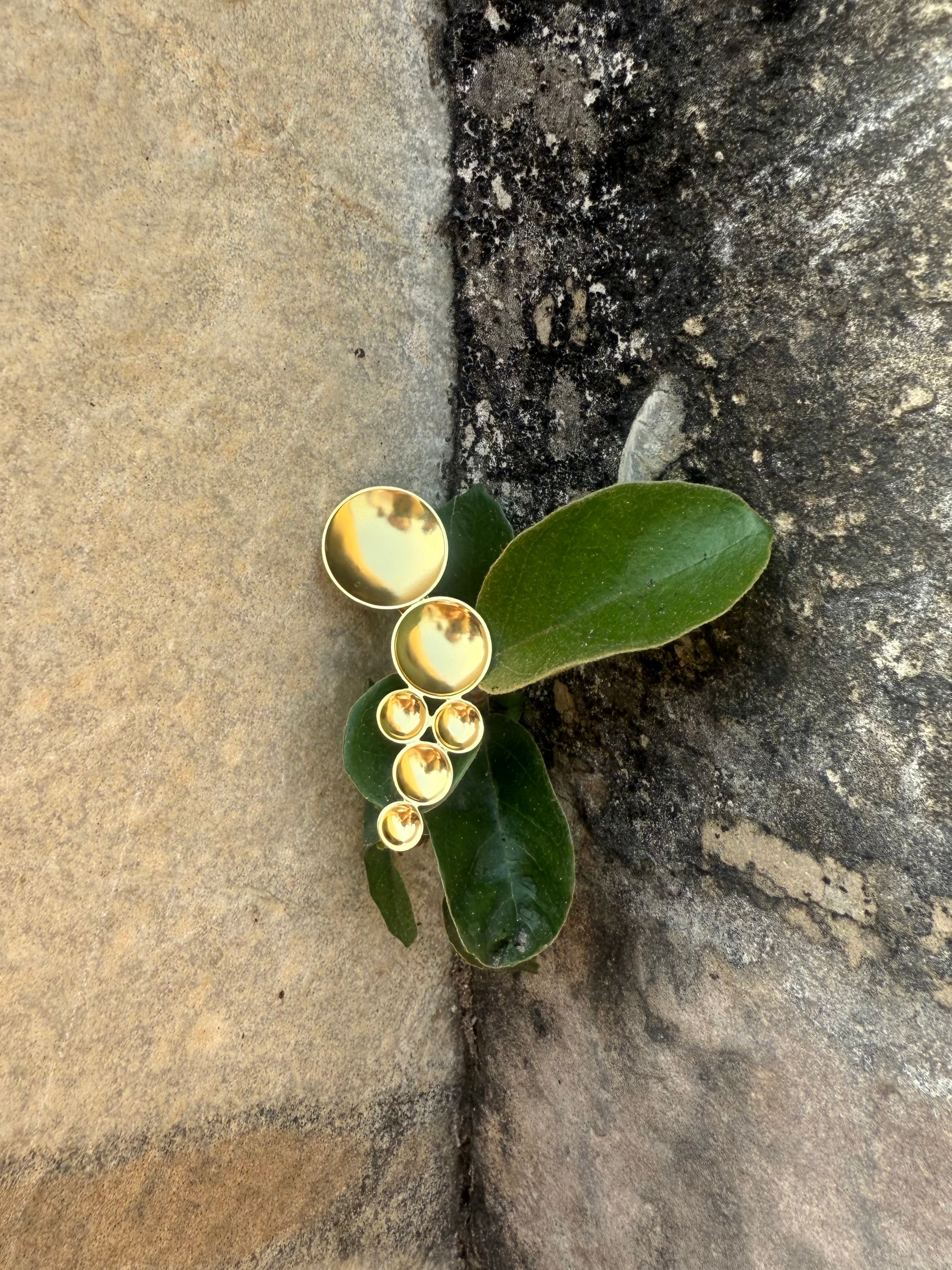 Rimjhim Brooch