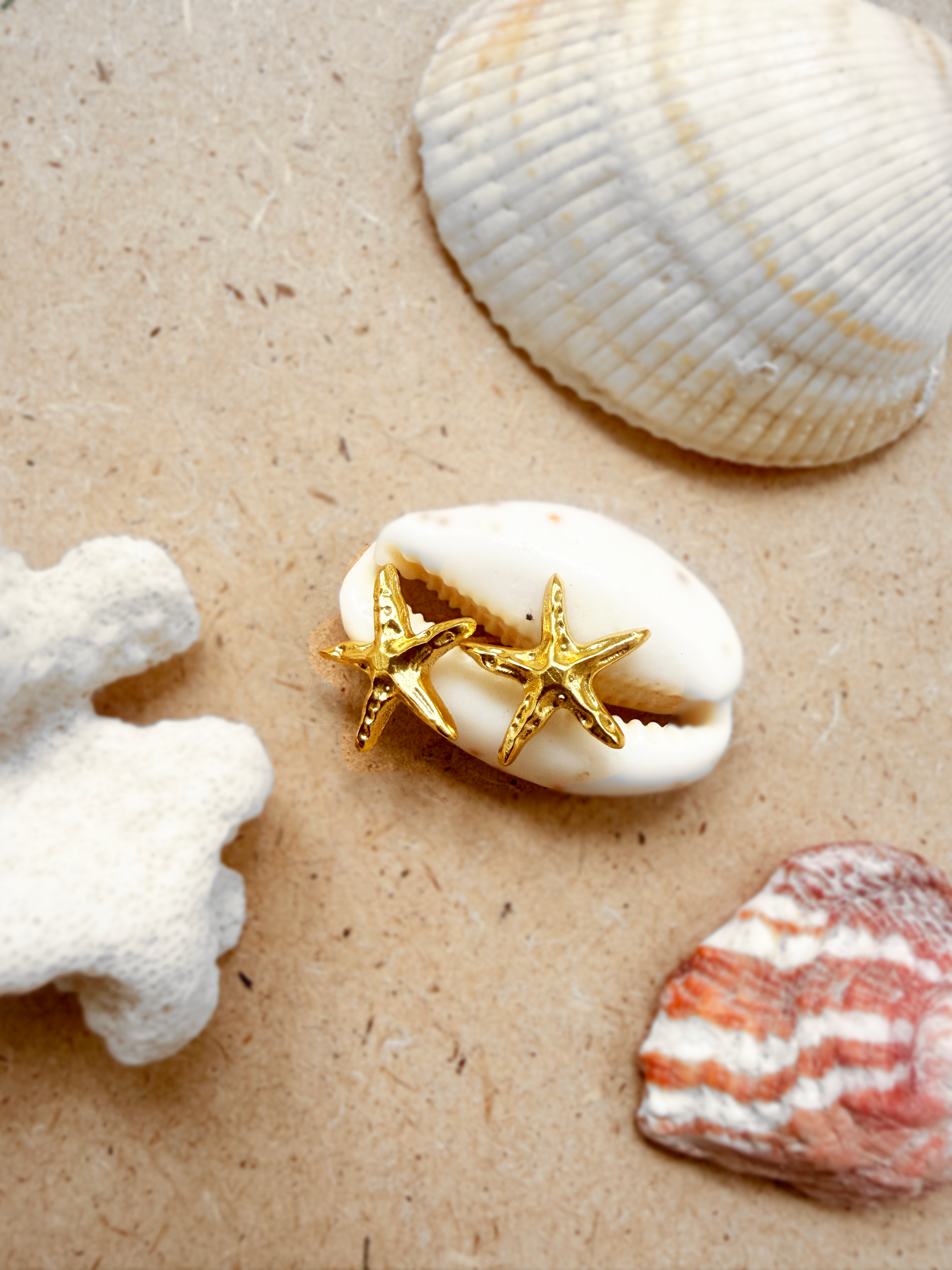 Two gold starfish stud earrings placed together on a white cowrie shell, with coral and a striped shell beside i